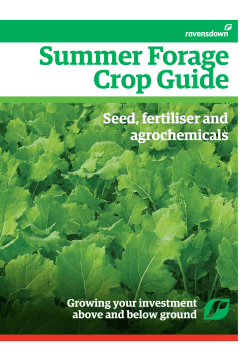 Summer Forage Crop Guide