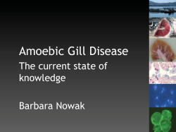 Barbara Nowak &ndash; AGD