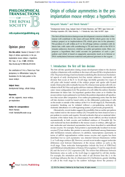 implantation mouse embryo: a hypothesis