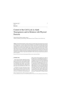Control of the Cell Cycle in Adult Neurogenesis and its Relation with