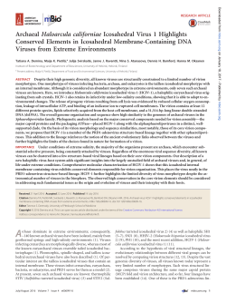 Archaeal Haloarcula californiae Icosahedral Virus 1 Highlights