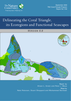 Delineating the Coral Triangle