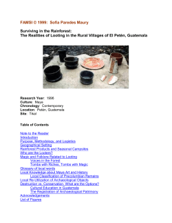 Surviving in the Rainforest: The Realities of Looting in the