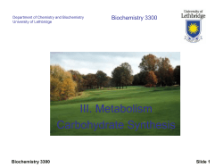 Lecture 11 - Carbon Fixation - U of L Personal Web Sites
