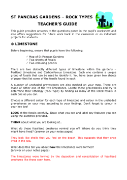 gcse worksheet &ndash; teacher`s guide