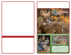 Food Plot Seed - Jay