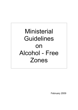 Ministerial Guidelines on Alcohol Free Zones