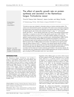 The effect of specific growth rate on protein synthesis