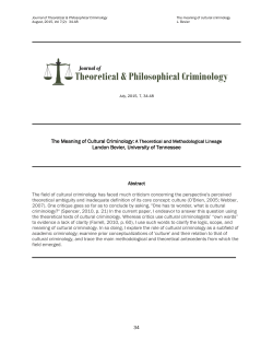 The Meaning of Cultural Criminology