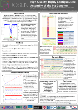 High-quality, highly contiguous re