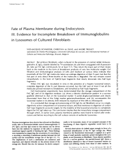 Fate of Plasma Membrane during Endocytosis III. Evidence for
