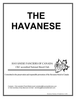 BACK to BASICS - Havanese Fanciers of Canada