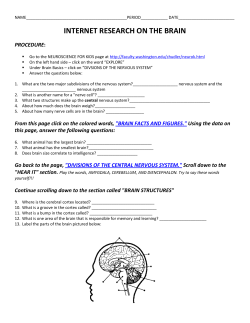 internet research on the brain