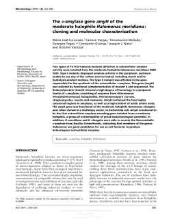 The &alpha;-amylase gene amyH of the moderate halophile
