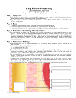 Adobe Acrobat Version