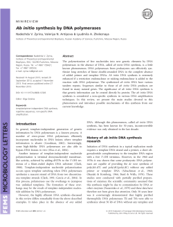 Ab initio synthesis by DNA polymerases