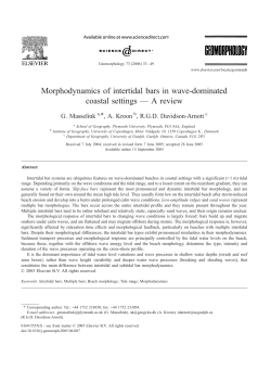 Morphodynamics of intertidal bars in wave