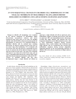 Sequential changes in chloride cell morphology