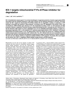 IEX-1 targets mitochondrial F1Fo-ATPase inhibitor for
