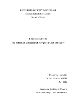 Efficiency Effects_Bachelor Thesis Dennis van Harmelen