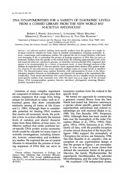 dna synapomorphies for a variety of taxonomic levels from a cosmid