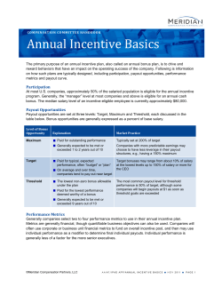 Annual Incentive Basics - Meridian Compensation Partners