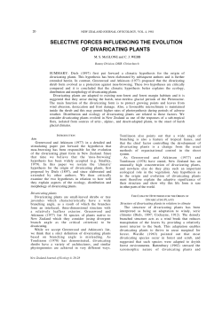 Selective Forces Influencing the Evolution of Divaricating Plants