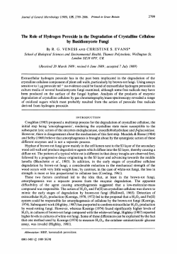 The Role of Hydrogen Peroxide in the Degradation of