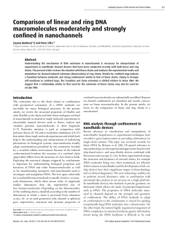 Comparison of linear and ring DNA macromolecules moderately