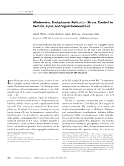 Minireview: Endoplasmic Reticulum Stress: Control in Protein, Lipid