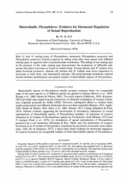 Heterothallic Phytophthora : Evidence for Hormonal