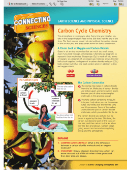 Carbon Cycle Chemistry