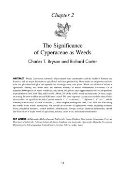 The Significance of Cyperaceae as Weeds