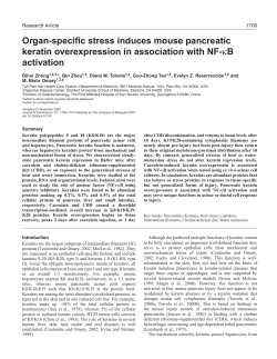 Organ-specific stress induces mouse pancreatic keratin