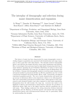 The interplay of demography and selection during maize