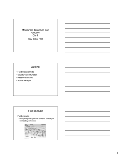 Outline Fluid mosaic - NWACC