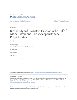 Biodiversity and Ecosystem Function in the Gulf of Maine: Pattern