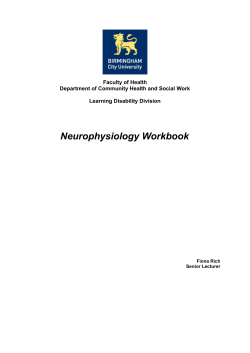 Neurophysiology Workbook