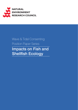 Impacts on Fish and Shellfish Ecology