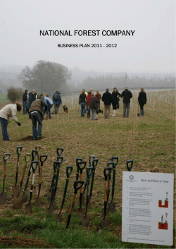 The National Forest Company (NFC) Business Plan 2011