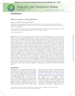 Photoreception in Phytoplankton - McPherson Eye Research Institute