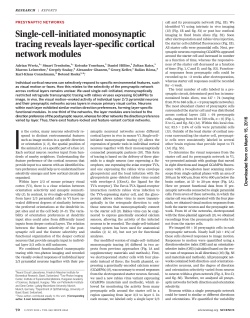 Single-cell&ndash;initiated monosynaptic tracing reveals layer