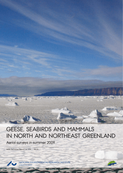 Geese, seabirds and mammals in North and Northeast Greenland