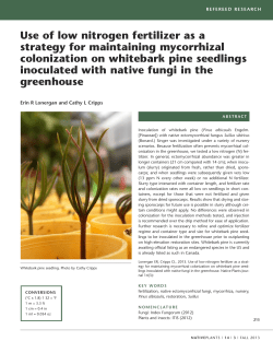 Use of low nitrogen fertilizer as a strategy for maintaining