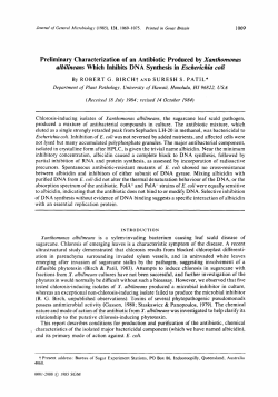 Preliminary Characterization of an Antibiotic Produced by