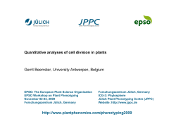 How to analyse cell division in plants