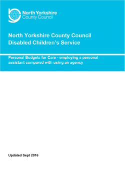 Employing a personal assistant (PA)