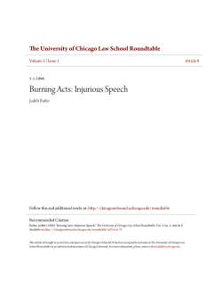 Burning Acts: Injurious Speech - Chicago Unbound