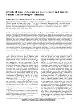 Effects of Zinc Deficiency on Rice Growth and