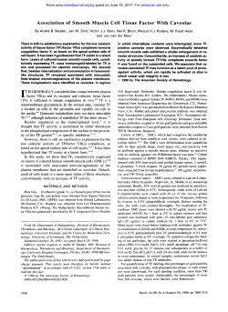 Association of Smooth Muscle Cell Tissue Factor